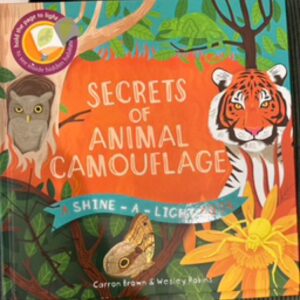 Secret of Animal Camouflage