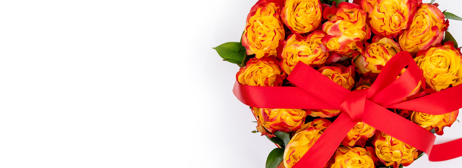 banner 2