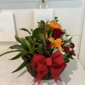 Water Me Basket