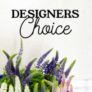 Designers Choice